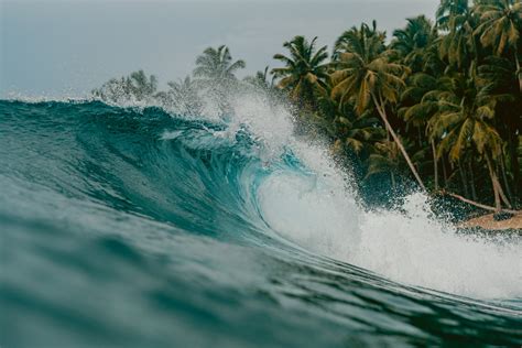 Saiba Tudo Sobre Gabriel Medina O Surfista Brasileiro Meio Ambiente