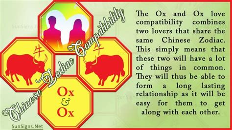 Ox Ox Compatibility: Honest and Relaxed - SunSigns.Net