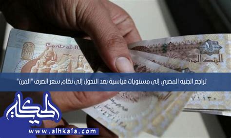 تراجع الجنيه المصري إلى مستويات قياسية بعد التحول إلى نظام سعر الصرف