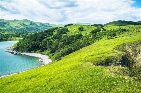 Aménagez En Parc Avec Des Collines Montagnes Les Arbres Herbe Sur La