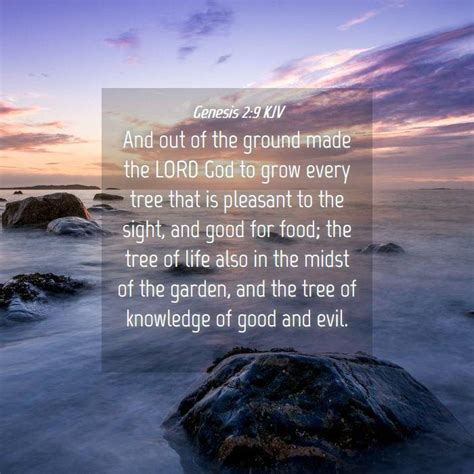 Genesis 29 Kjv Bible Verse Images