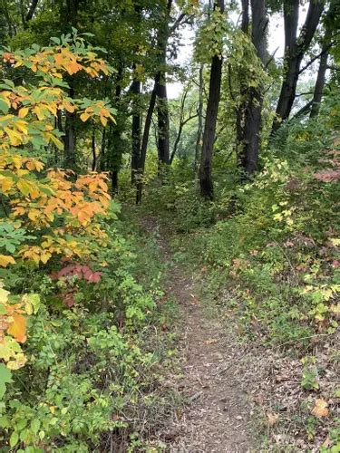 Best Hikes And Trails In Trine State Recreation Area Alltrails