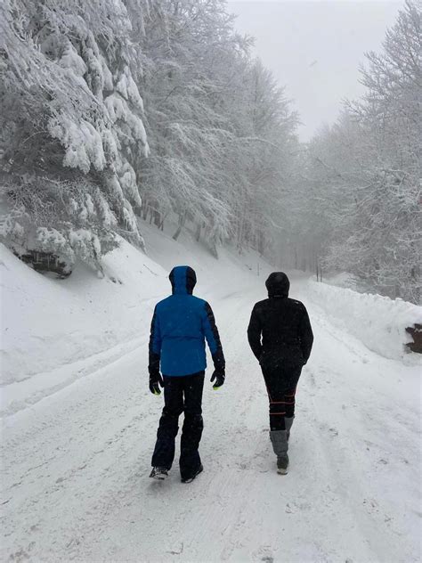 Allerta Neve La Provincia Di Arezzo Limitare Gli Spostamenti