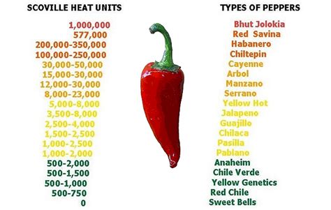 Extra Excel In Horticulture