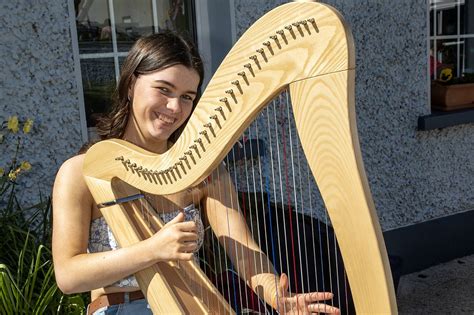 See Photos As Wicklow County Fleadh Hits Tinahely Irish Independent