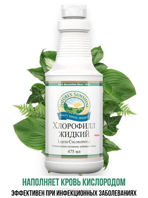 Хлорофилл жидкий НСП / CHLOROPHYLL LIQUID NEW NSP / 475 мл - купить с ...