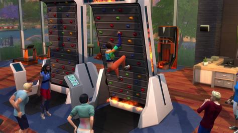 Sims Jungle Gym