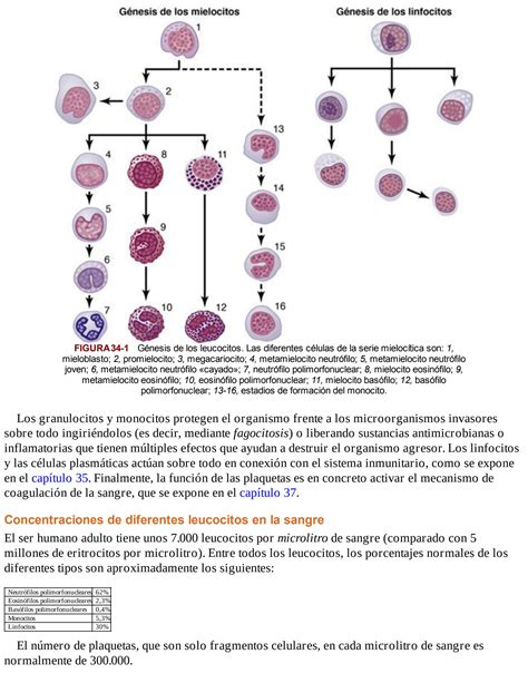 Solution Resumen Sistema Inmunologico Del Cuerpo Humano Studypool