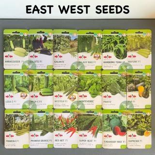 East West Red Hot F Hybrid Hot Pepper Siling Labuyo Vegetable Seeds Go Grow Small Pack Shopee