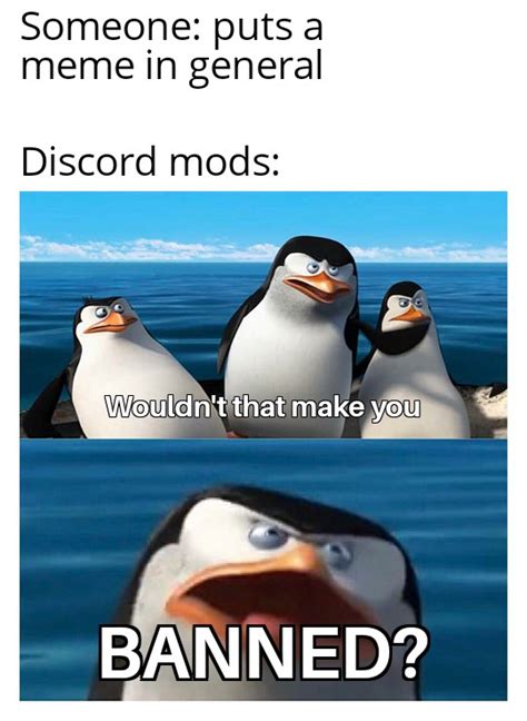 Discord vs Reddit : r/memes