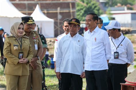 Masuk Musim Hujan Petani Didorong Segera Tanam Padi Pemerintah