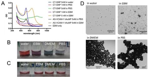 Figure From Real Time Imaging Of Vcam Mrna In Tnf Activated