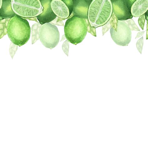 limes clip art 7