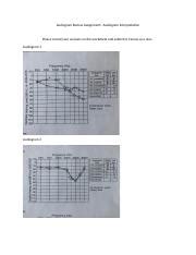 Audiogram Review Assignment Audiograms Docx Audiogram Review