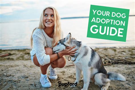 Dog Adoption Guide: Choosing a Breed, Home Prep & More | Pupford