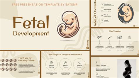 Fetal Development Powerpoint Presentation Template Google Slides Theme