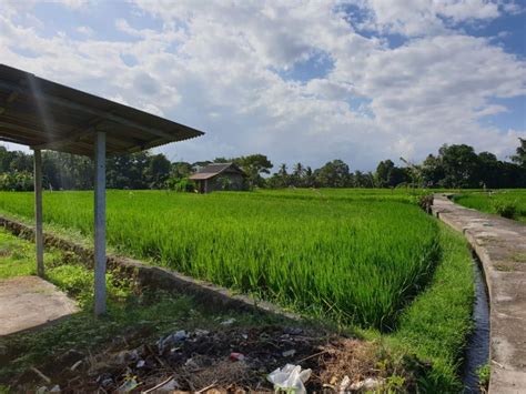 Dijual Sebidang Tanah Kosong Terletak Di Kawasan Objek Wisata Tanah