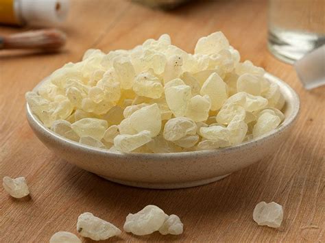 Mastic Gum Uses Benefits Side Effects And More