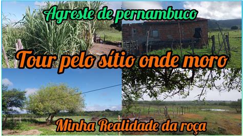 tour pelo sítio Onde eu moro no agreste de pernambuco Minha