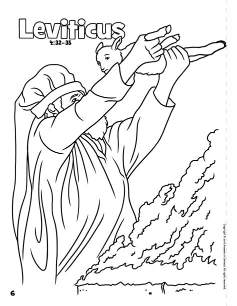 Books Of The Bible Coloring Book Softcover Answers In Genesis