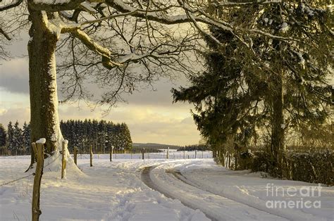 Winter Afternoon in Ardennes Photograph by Sinisa CIGLENECKI - Fine Art America