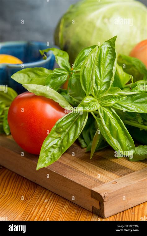 Basil Leaves Stock Photo Alamy