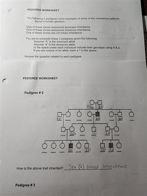 Solved PEDIGREE WORKSHEET The Following 3 Pedigrees Show Chegg