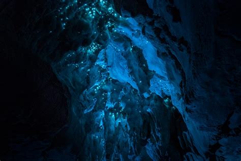 Long Exposure Photographs Of A New Zealand Cave Illuminated By Glowing