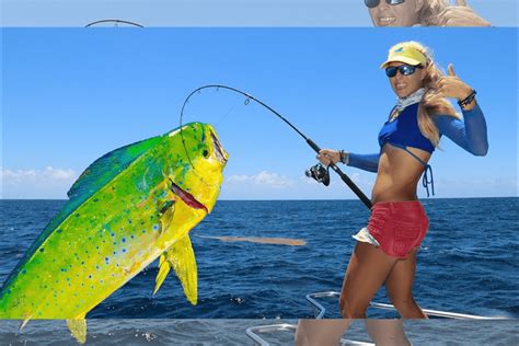 Mahi-Mahi Fishing in Florida