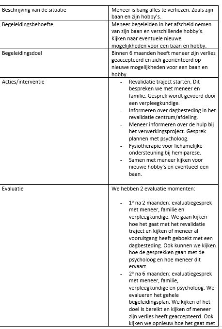 Opdracht Begeleidingsplan NAHcarmen