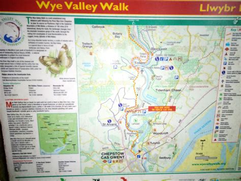 Wye Valley Walk - Wild Walking UK