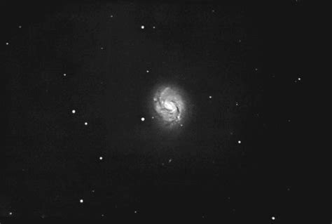 M77