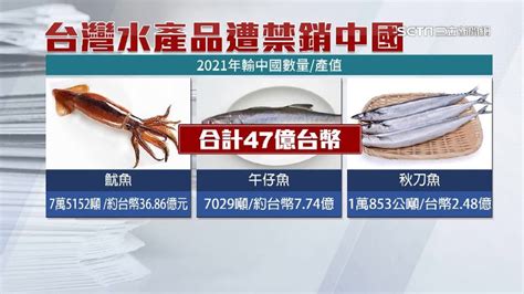 中國無預警禁台漁產進口！178家業者遭擋 3大漁產損失估47億元 政治 三立新聞網 Setn