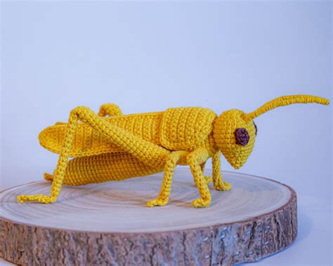 Grasshopper crochet pattern