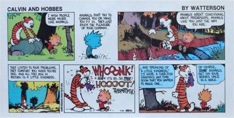 Calvin And Hobbes By Bill Watterson Color Sunday Comic Page April 30 1989 Eur 3 56