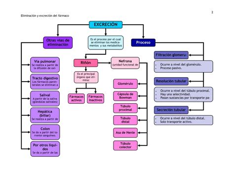 Excreci N Y Eliminaci N Del F Rmaco Eliminaci N Y Excreci N Del