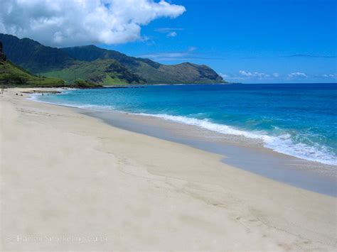 Oahu Snorkeling Secrets! The Complete Guide to Snorkeling Oahu!