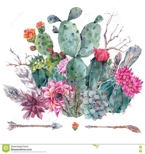 Cactus De La Acuarela Succulent Flores Stock De Ilustraci N