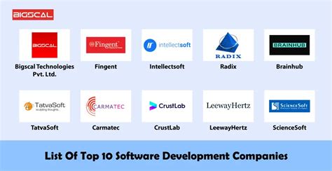 Software Development Companies For Every Need In 2024