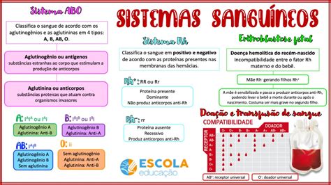 Mapa Conceptual De Grupos Sanguineos Mas Mood Images And Photos Finder