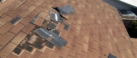 Dealing With Water Damage from Roof Leak in San Diego | Tips & Tricks