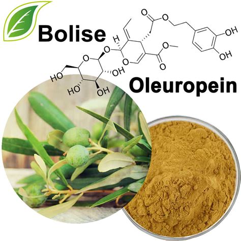 Oleuropein 10 80 From Olive Leaf Extract Suppliers Manufacturers