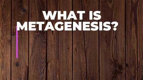 what is metagenesis and its examples