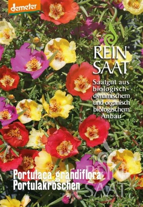 ReinSaat Portulakröschen Portulaca grandiflora 1 Packung