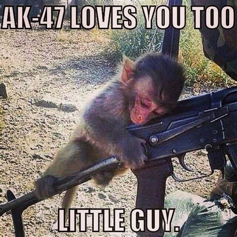 Cute monkey loving on an AK47 | Cute monkey, Funny, Guys