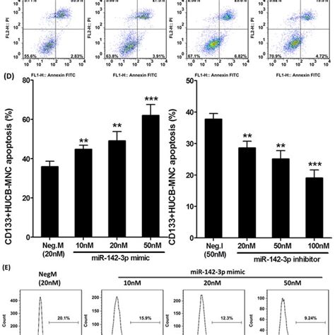 Mirna 142 3p Mimic Increased Radiosensitivity In Cd133hucb Mnc Cells