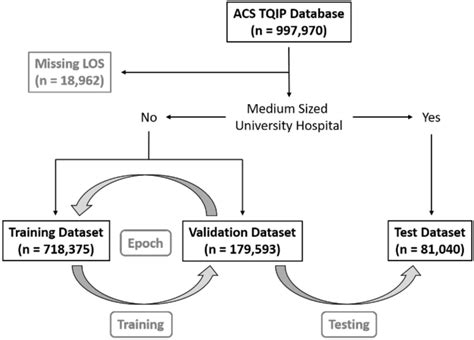 A Graphical Overview Of Patient Selection And Group Allocation This