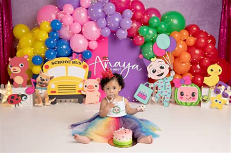 Cocomelon Cake Smash Anaya Lynn Puzzo Photography