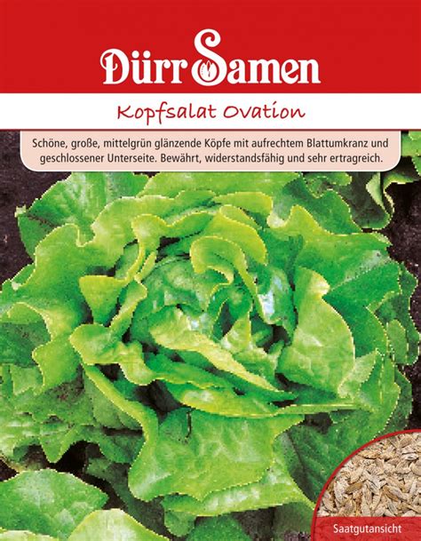 Salatsamen Kopfsalat Ovation Von D Rr Samen