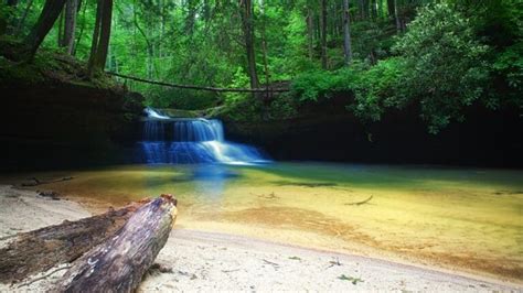 23 Things To Do In Red River Gorge Kentucky For New Visitors